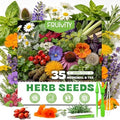35 Herb Seeds Variety Pack, 16,400+ Non-GMO Heirloom Seeds for Planting by Fruivity