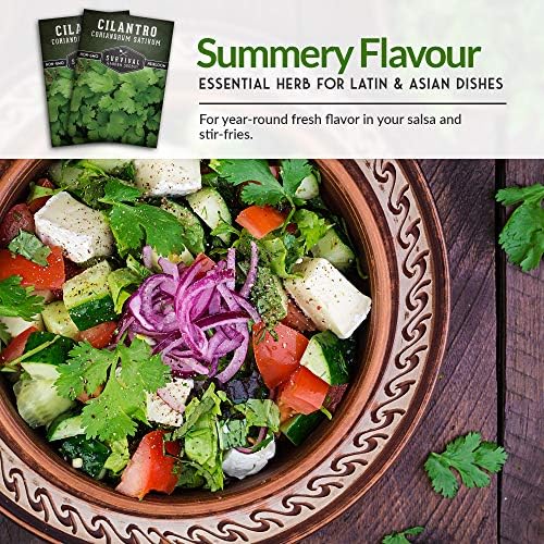 Cilantro Seeds for Planting - Heirloom Coriander Seed (1 Pack) - Image 6