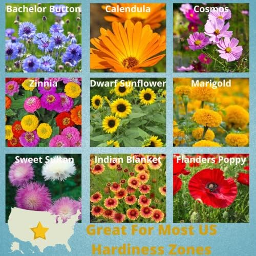 Camas- Pollinator Wildflower Seed Packets - (20) Party Favors to Attract Bees, Butterflies, and Hummingbirds to Your Plant and Flower Garden-Annual Wildflower Mix - Image 4