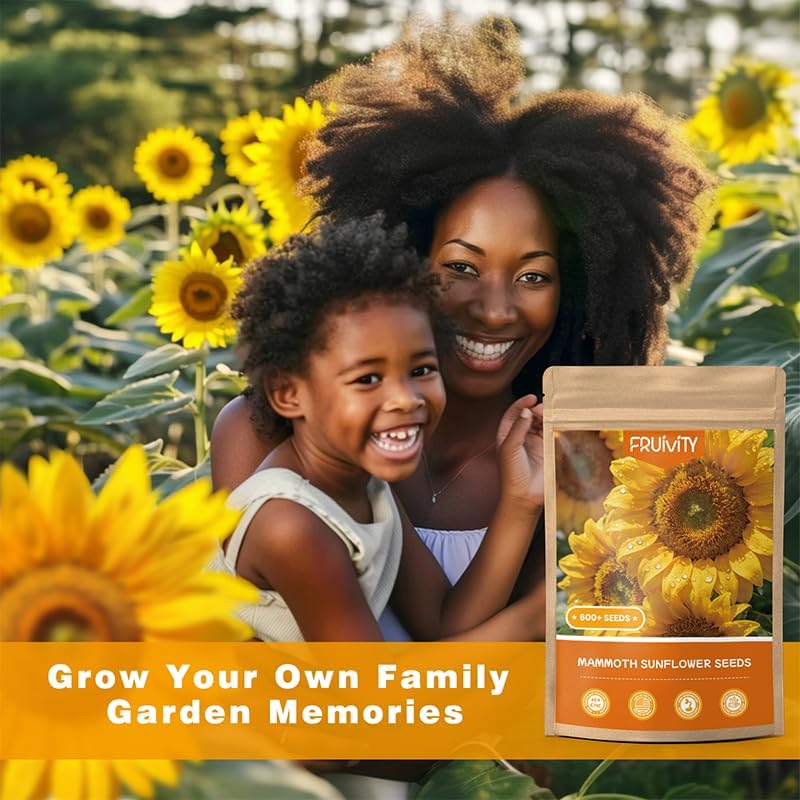 600+ Giant Mammoth Heirloom Sunflower Seeds to Plant, High Germination, Easy to Grow, for Home Garden - Image 6