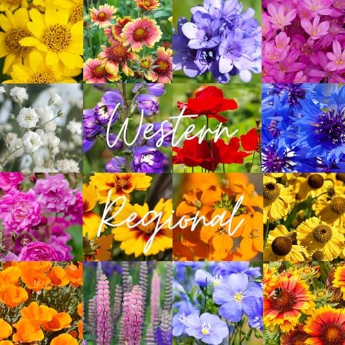 Western Wildflower Seed Mix – 16 Regionally Adapted Species for Colorado, Idaho, Montana, Wyoming, Utah & More – Pollinator Friendly Non-GMO Wildflower Seeds – 1/8lb Covers Up to 400 Sq Ft - Image 7