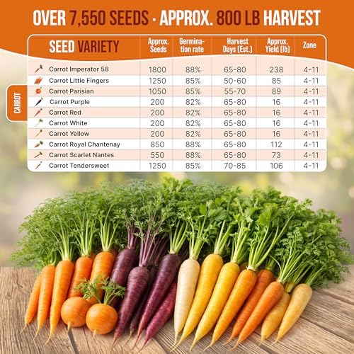 Organo Republic 10 Unique Carrot Seeds Variety Pack - 7,550+ Non-GMO Heirloom Carrot Seeds for Outdoor & Indoor Home Gardening, Including Carrot Imperator 58, Little Fingers, Scarlet Nantes, Parisian - Image 3