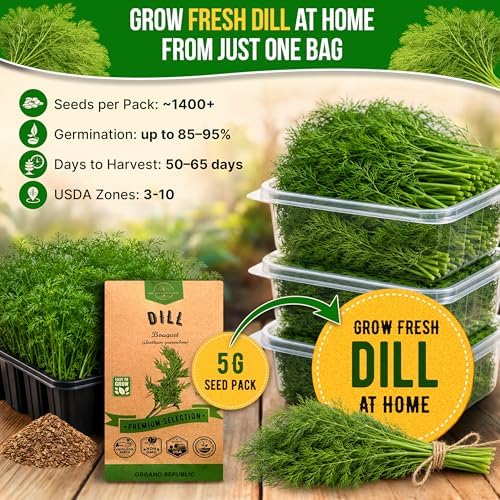 Organo Republic Dill Bouquet Seeds Pack 5 G - Over 1,400 Non-GMO Heirloom Dill Seeds for Planting Herbs in Individual Seed Packet, Herbs Seeds for Planting Home Garden Indoor & Outdoor Gardening - Image 4