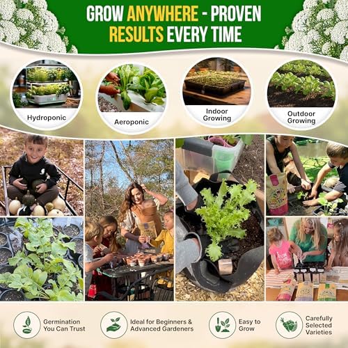 White Yarrow Seeds Pack 0.25 G - Over 2000 Non-GMO Heirloom Yarrow Seeds for Planting Herbs in Individual Seed Packet, Herbs Seeds for Planting Home Garden Indoor & Outdoor Gardening - Image 5