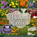 All Perennial Wildflower Seed Mix – 18 Perennial Species, Pollinator Friendly Wildflower Seeds for Meadows & Gardens, No Fillers, USA Grown - 1lb Covers 2,000sq-ft by PaperStreetPerennials