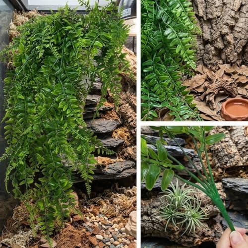 Reptile Plants for Terrarium, Bearded Dragon Tank Accessories - Image 7