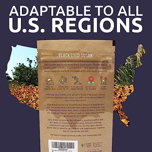 Black Eyed Susan Seeds – Bulk Quarter Pound Bag – Over 400,000 Open Pollinated Non-GMO Wildflower Seeds – Rudbeckia hirta - Image 7