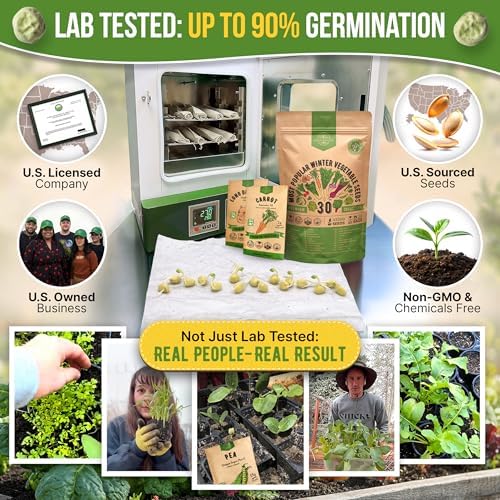 Organo Republic 30 Most Popular Winter Vegetable Garden Seeds Variety Pack- Outdoors/Indoor 33,200+ Non-GMO Heirloom Veggie Seeds Broccoli Beet Carrot Cabbage Chives Lettuce Radish Pea Spinach & More - Image 2