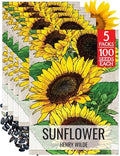 Seed Needs Henry Wilde Sunflower Seeds to Plant Cut Flowers - 5 Packs by SeedNeeds