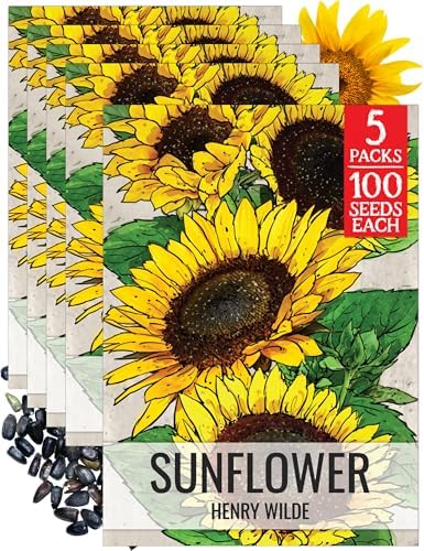 Seed Needs Henry Wilde Sunflower Seeds to Plant Cut Flowers - 5 Packs by SeedNeeds
