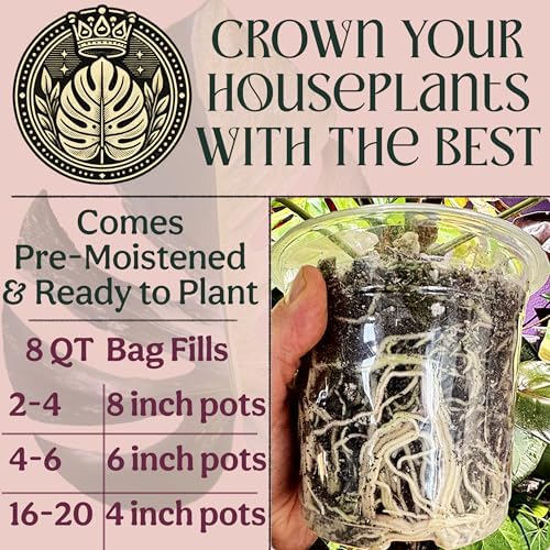 Craft Houseplant Potting Mix, Organic Indoor Potting Soil for House Plants, Chunky Well Draining Plant Soil for Pothos, Snake Plant & Tropical Plants, Peat Free, 8 Quart - Image 4