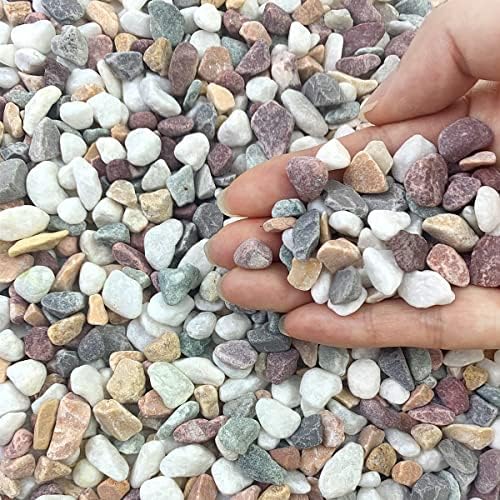 FANTIAN 2 lbs Pebbles for Indoor Plants, 3/8 inch Pea Gravel, Mixed Color by FANTIAN-GardeningMakesLifeBetter
