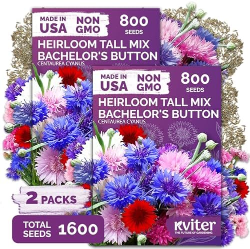 1,600 Mix Bachelor Button Heirloom Flower Seeds, Centaurea cyanus by KVITER