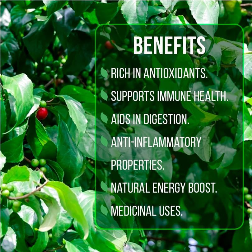 Jamaican Cherry Tree (4 Pack) Strawberry Tree | Live Plant for Sale | Easy to Grow Plants | Edible Fruit Plant for Sustainable Living | Grow Your Food on Your Edible Organic Garden - Image 6