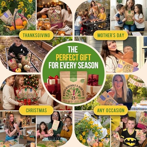 Organo Republic 25 Winter Vegetable & Herb Garden Seeds Variety Pack for Outdoors & Indoor Home Gardening 22,840+ Non-GMO Heirloom Seeds Broccoli Beet Carrot Cabbage Radish Pea Mint Thyme Parsley - Image 5