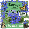 SVI 250 Blue Borage Seeds (Borago officinalis) – Starflower Seed Packets, Heirloom Annual Herb with Edible Blue Flower Seeds for Pollinator Garden, Raised Beds, Containers & Outdoor Flower Garden by SVI