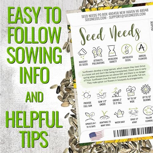 Seed Needs Dwarf Sunspot Sunflower Seeds to Plant Cut Flowers - 10 Packs - Image 4