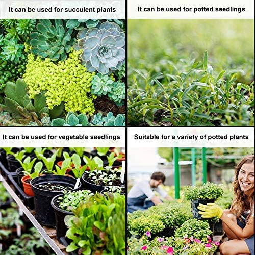Augshy 50 Pcs 0.5 Gallon Black Plastic Plant Nursery Pots 6 Inches Seed Starting Pots Containers with 50 Labels - Image 6