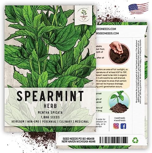 Seed Needs Spearmint Seeds to Plant an Herb Garden - 1 Pack - Image 6