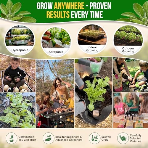 Sage Seeds Pack 1.5 G - Over 250 Non-GMO Heirloom Sage Seeds for Planting Herbs in Individual Seed Packet, Herbs Seeds for Planting Home Garden Indoor & Outdoor Gardening - Image 5