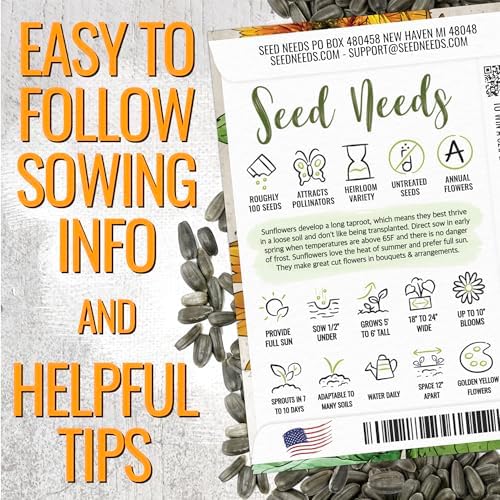 Seed Needs Tall Teddy Sunflower Seeds to Plant Cut Flowers - 2 Packs - Image 3