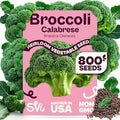 SVI 800 Calabrese Broccoli Seeds for Sprouting (Brassica oleracea VAR. capitata) - Green Broccoli Sprouts Seed Packets - Non-GMO Heirloom Vegetable Seeds for Planting Outdoors & Indoors Garden by SVI