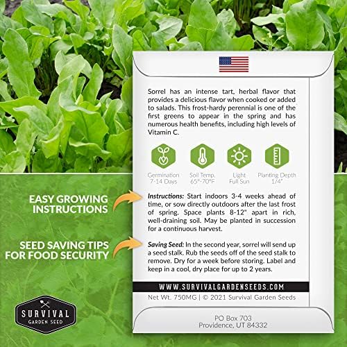 Sorrel Seeds for Planting - 3 Packs - Image 2