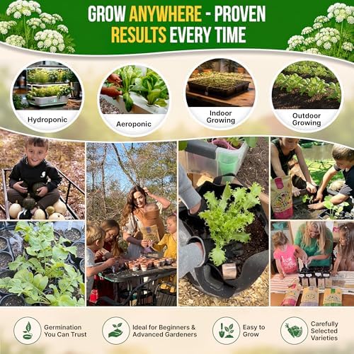 Anise Seeds Pack 5G - Over 1800 Non-GMO Heirloom Anise Seeds for Planting Herbs in Individual Seed Packet, Herbs Seeds for Planting Home Garden Indoor & Outdoor Gardening - Image 5