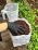 DYNOMYCO Mycorrhizal Fungi Inoculant Grow Kit - Image 7