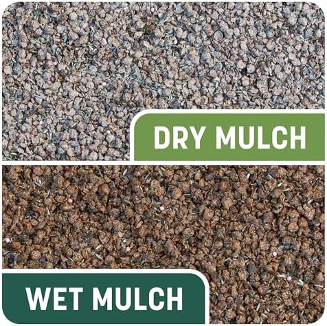 Pennington Smart Patch Grass Seeds for Lawn, Sun and Shade Lawn Grass Repair Mix, 10 LB - Image 3