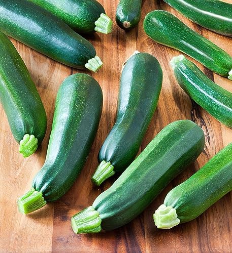 5 Species Summer Squash Mix Seeds - 360+ Count - for 2026 Planting Heirloom Yellow Squash, Grey, Golden, Black Beauty Zucchini, White Patty Pan Vegetable Grow Your Own Home Farm Patio - Image 3