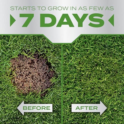 Scotts PatchMaster Lawn Repair Mix Tall Fescue Mix, 4.75 lbs. - Image 4