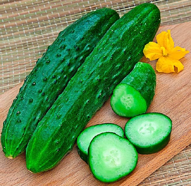 Self-Pollinating Cucumber Zozulya F1 Seeds – Hybrid for Planting - Image 3