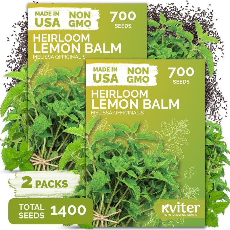 1,400 Lemon Balm Heirloom Herb Seeds for Planting, Melissa Officinalis by KVITER