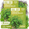 1,400 Lemon Balm Heirloom Herb Seeds for Planting, Melissa Officinalis by KVITER