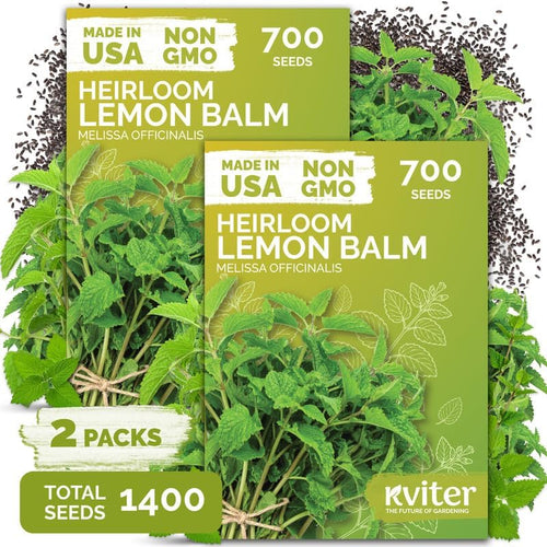 1,400 Lemon Balm Heirloom Herb Seeds for Planting, Melissa Officinalis by KVITER