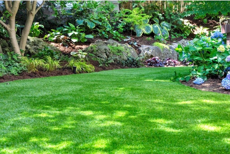 Crown Jewel Grass Seed, 50lbs - Image 4