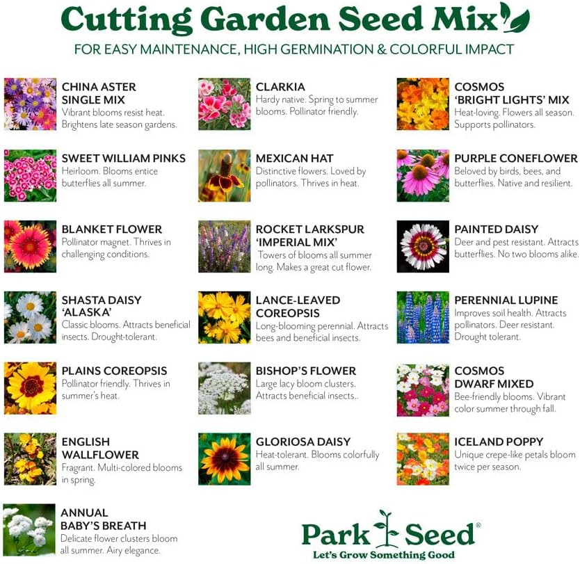 Park Seed Grow Your Own Vibrant Annual and Perennial Wildflower Garden Seeds Mixture, Easy to Grow Varieties for Pollinators and Spring Gardens - Cutting Garden Mix, 1/4 lb - Image 3