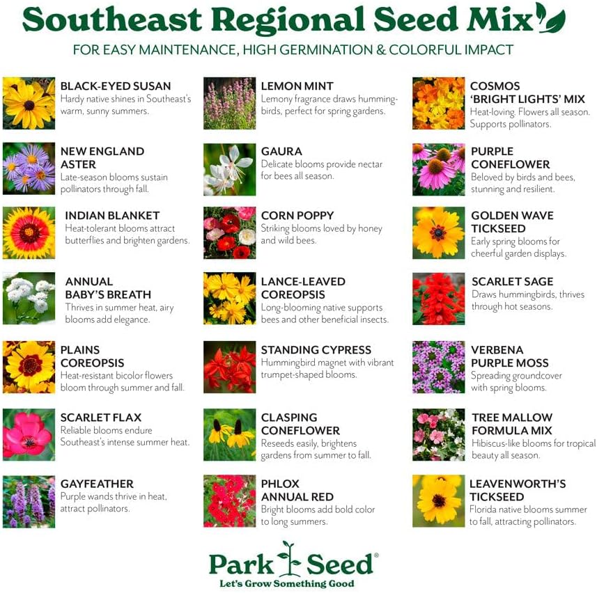 Park Seed Grow Your Own Vibrant Annual and Perennial Wildflower Garden Seeds Mixture, Easy to Grow Varieties for Pollinators and Spring Gardens - Southeast Regional Mix, 1/4 lb - Image 3