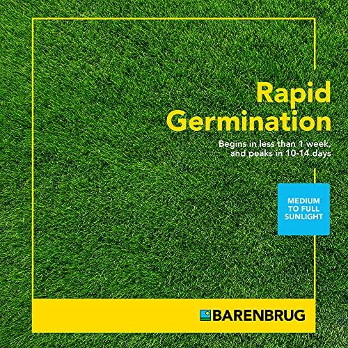 Barenbrug Turf Star Regenerating Perennial Ryegrass Lawn Seed with Yellow Jacket Seed Coating, Fast-Acting Durable Grass Seed Mix for Lawns, 10-lb. Bag - Image 5