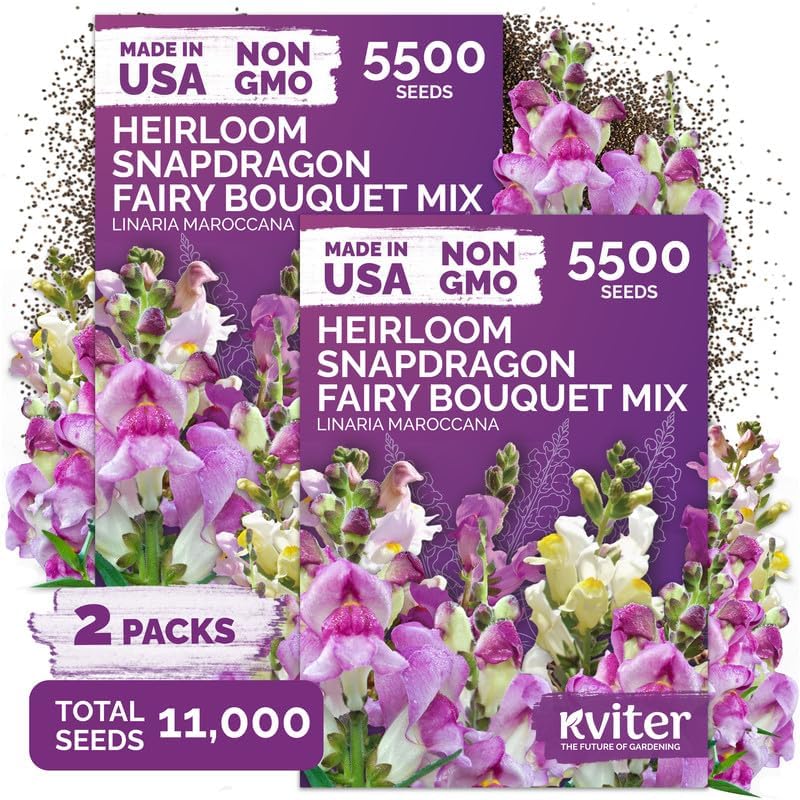 11,000 Fairy Bouquet Mix Snapdragon Seeds for Planting, Linaria Maroccana by KVITER