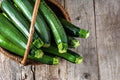 Organic Bulk Dark Green Zucchini Seeds Non GMO (50 Lbs) by DirtGoddessSuperSeeds