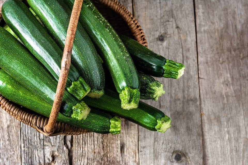 Organic Bulk Dark Green Zucchini Seeds Non GMO (50 Lbs) by DirtGoddessSuperSeeds