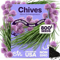 SVI 800 Chives Seeds (Allium schoenoprasum) – Onion Chives Seed Packets, Heirloom Perennial Herbs with Mild Onion Flavor – Culinary Herb Seeds for Home Garden, Containers, Indoor & Outdoor Herb Garden by SVI