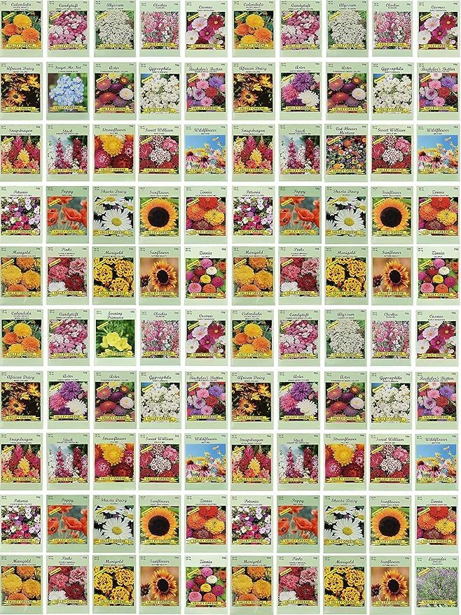 Black Duck Set of 500 Flower Seed Packets! Flower Seeds in Bulk - Best Value Seeds - Great for Classrooms, Beginner Gardeners and Kids! - Deluxe Varieties! (500) - Image 2