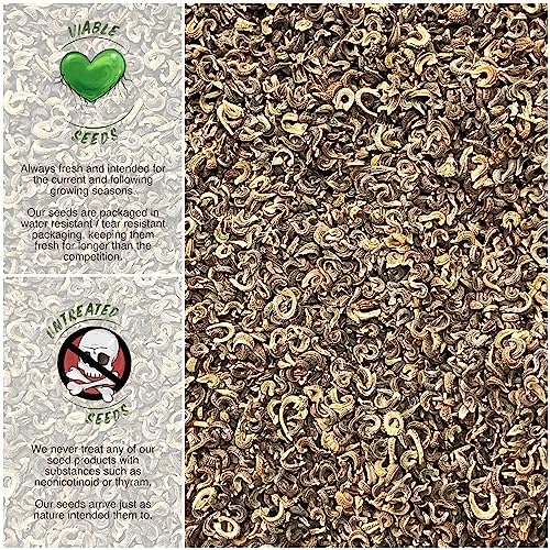 Seed Needs Flower Seeds to Plant Pink Surprise Calendula - Bulk Pack - Image 3