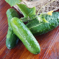 Cucumber Seeds - Marketmore 76-1/4 Pound - Vegetable Seeds, 1/4 lb by EdenBrothers