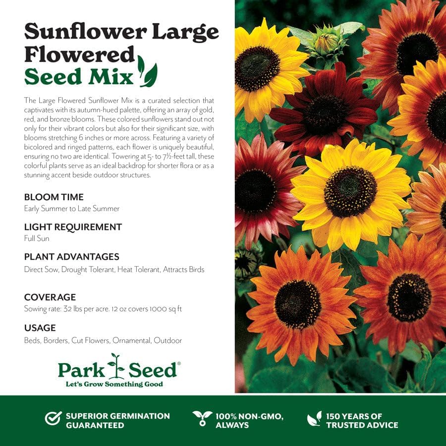 Park Seed Grow Your Own Vibrant Annual and Perennial Wildflower Garden Seeds Mixture, Easy to Grow Varieties for Pollinators and Spring Gardens - Large Colored Sunflower Mix, 1 lb - Image 3