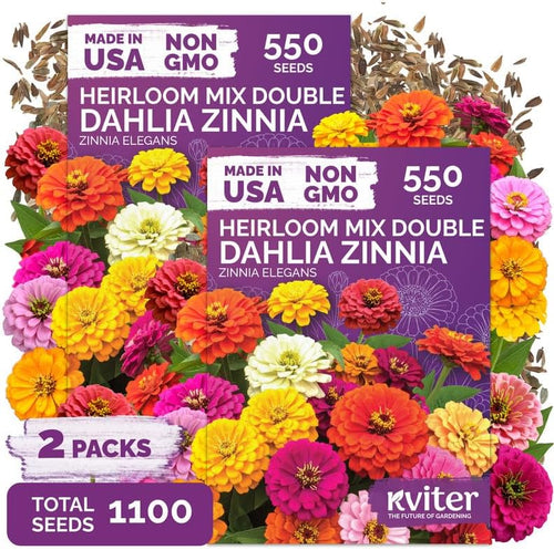 1,100 Dahlia Zinnia Heirloom Flower Seeds for Planting, Zinnia Elegans by KVITER