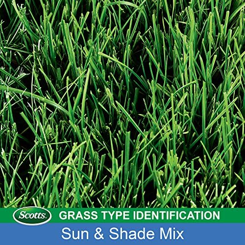 Scotts Turf Builder Grass Seed Sun & Shade Mix, Grows in Extreme Conditions & Spreads for a Durable Lawn, 7 lbs. - Image 5
